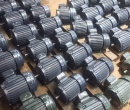 MÁY MOTOR 8